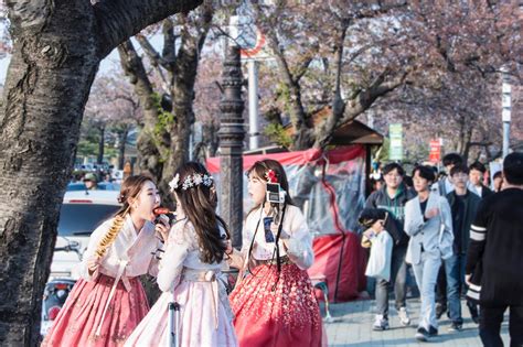 츠지 사쿠라: 일본 문화와 한국의 교차점